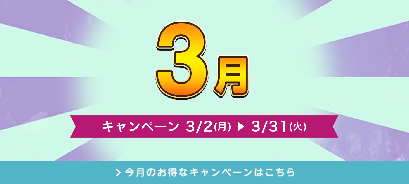今月のキャンペーン